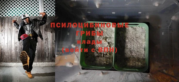 spice Лиски