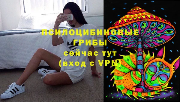 сатива Абинск
